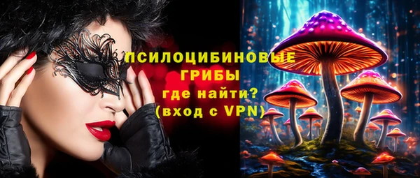 СК Абинск