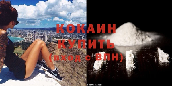 сатива Вязьма