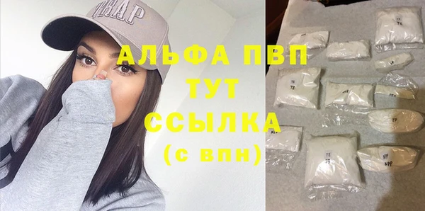 СК Абинск