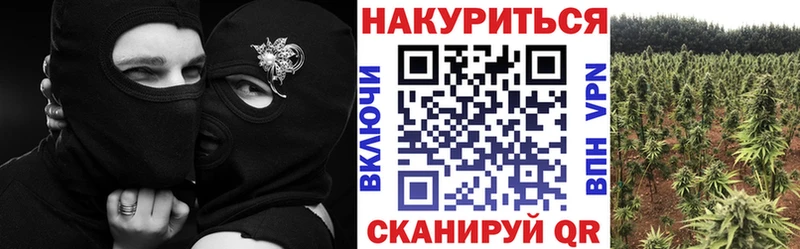 Канабис SATIVA & INDICA  omg онион  Черемхово  где можно купить  